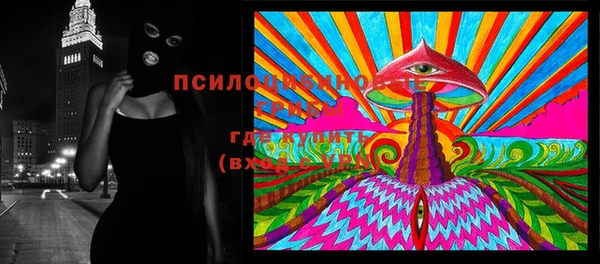 дурь Нягань