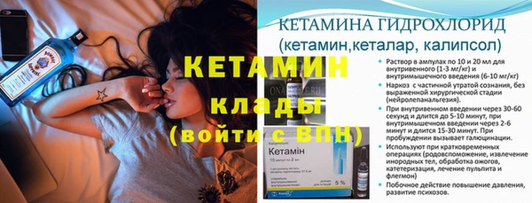 крисы Вязьма