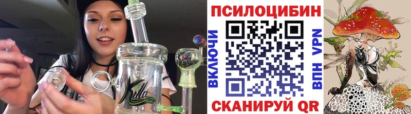 omg ТОР  закладки  Анадырь  Псилоцибиновые грибы ЛСД 